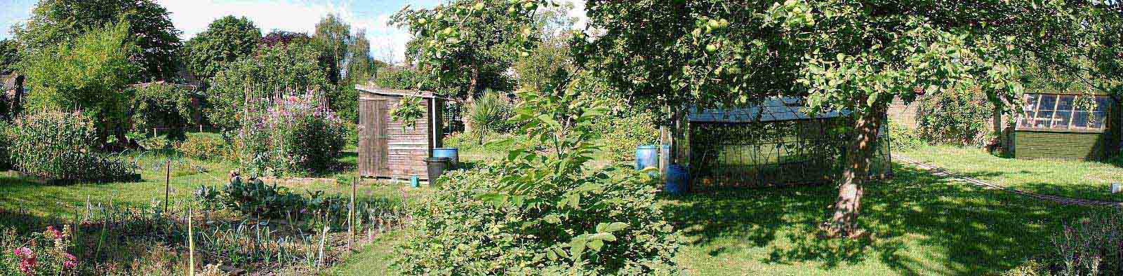 Garden view2