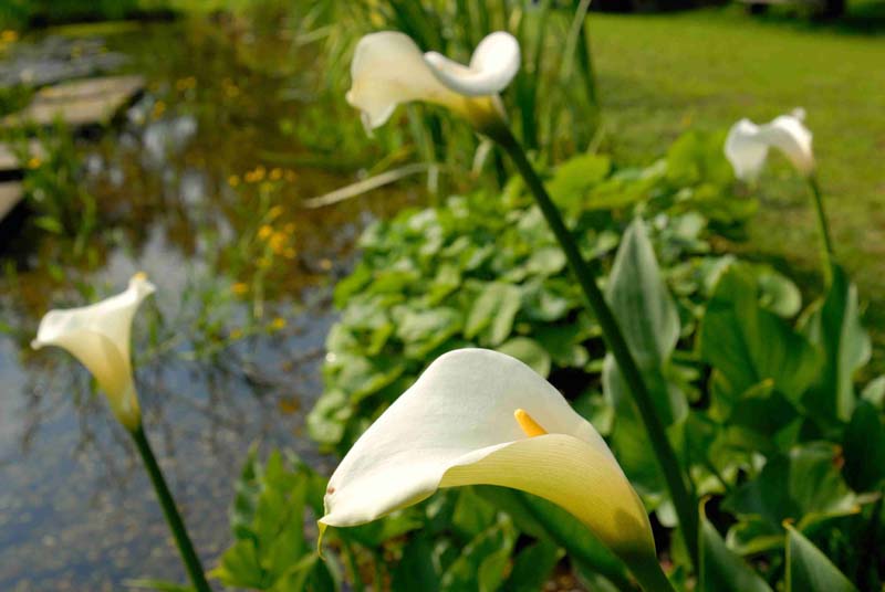 2008-06-07_0018