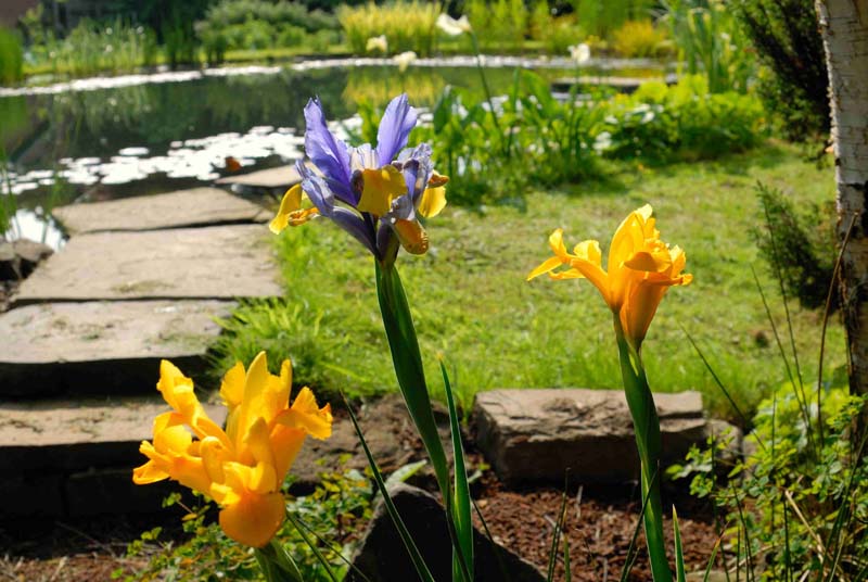 2008-06-07_0020