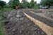 2007-07-14_0002