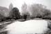 2008-02-19_0005