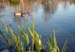 2008-03-11_0003