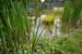 2008-05-10_0006