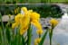 2008-06-07_0003