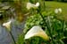 2008-06-07_0018