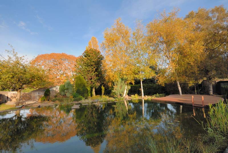 Swimming pond